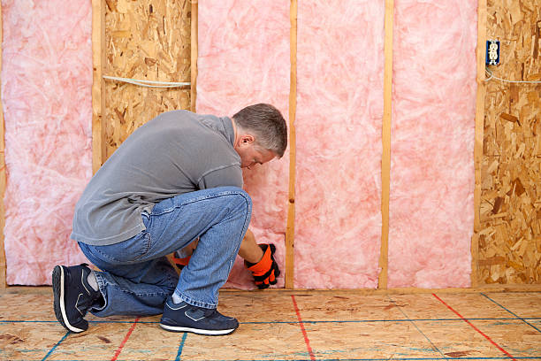 Professional Insulation Contractor in Orlando, FL